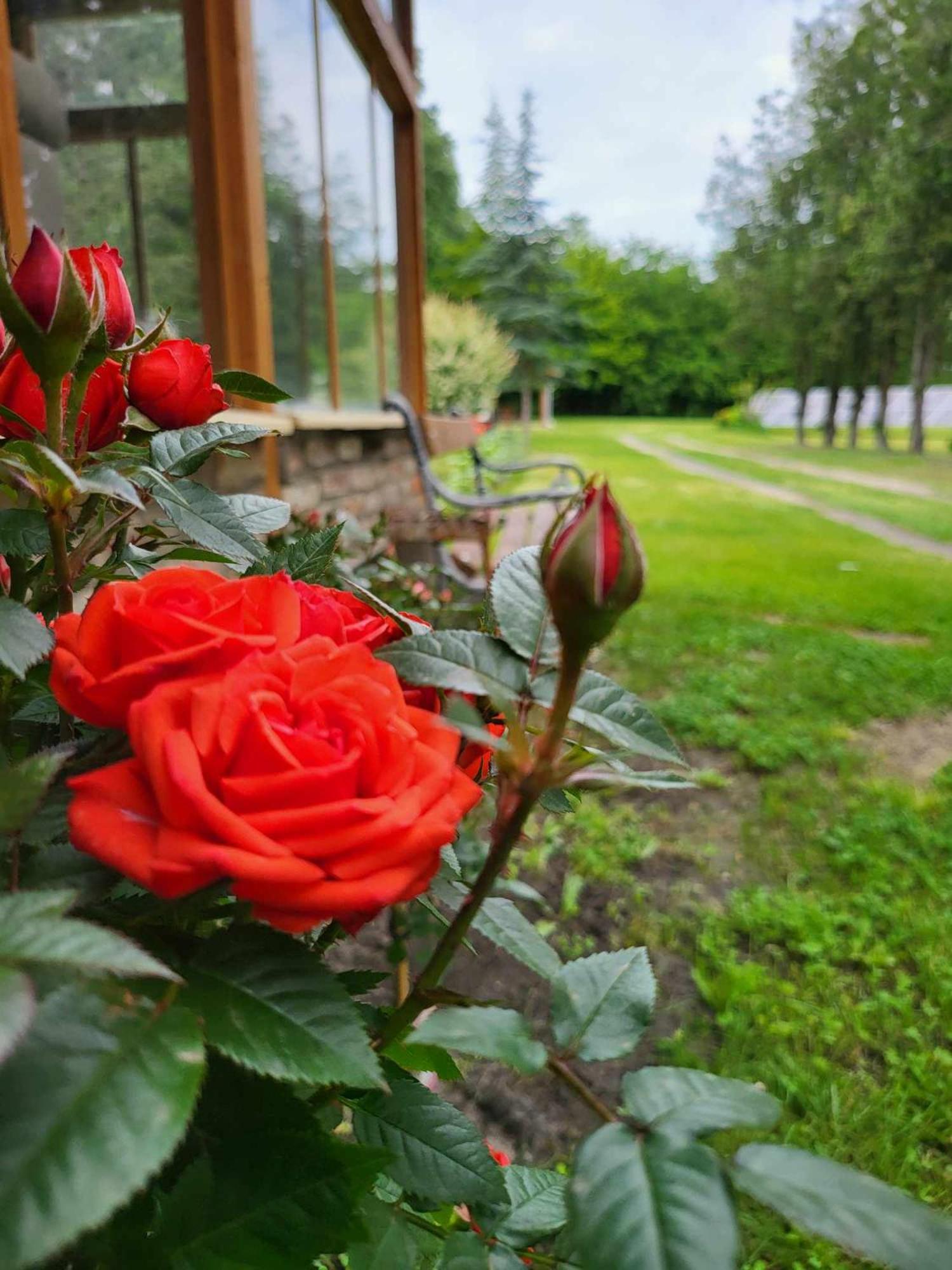 Gyoember Tanya Villa Asotthalom Bagian luar foto