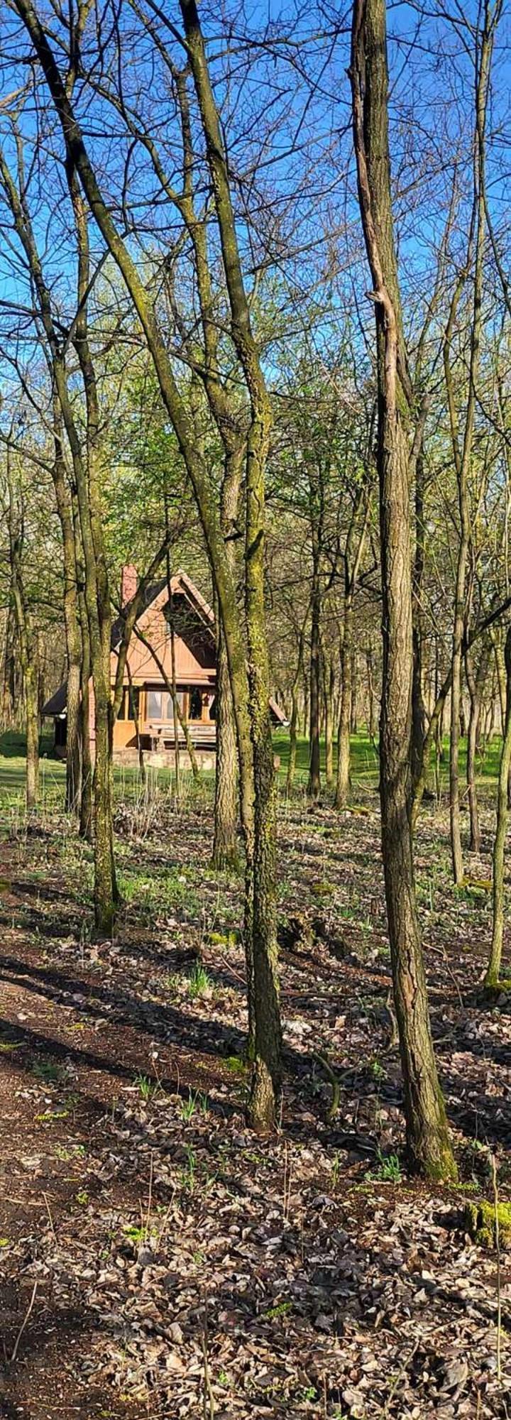 Gyoember Tanya Villa Asotthalom Bagian luar foto