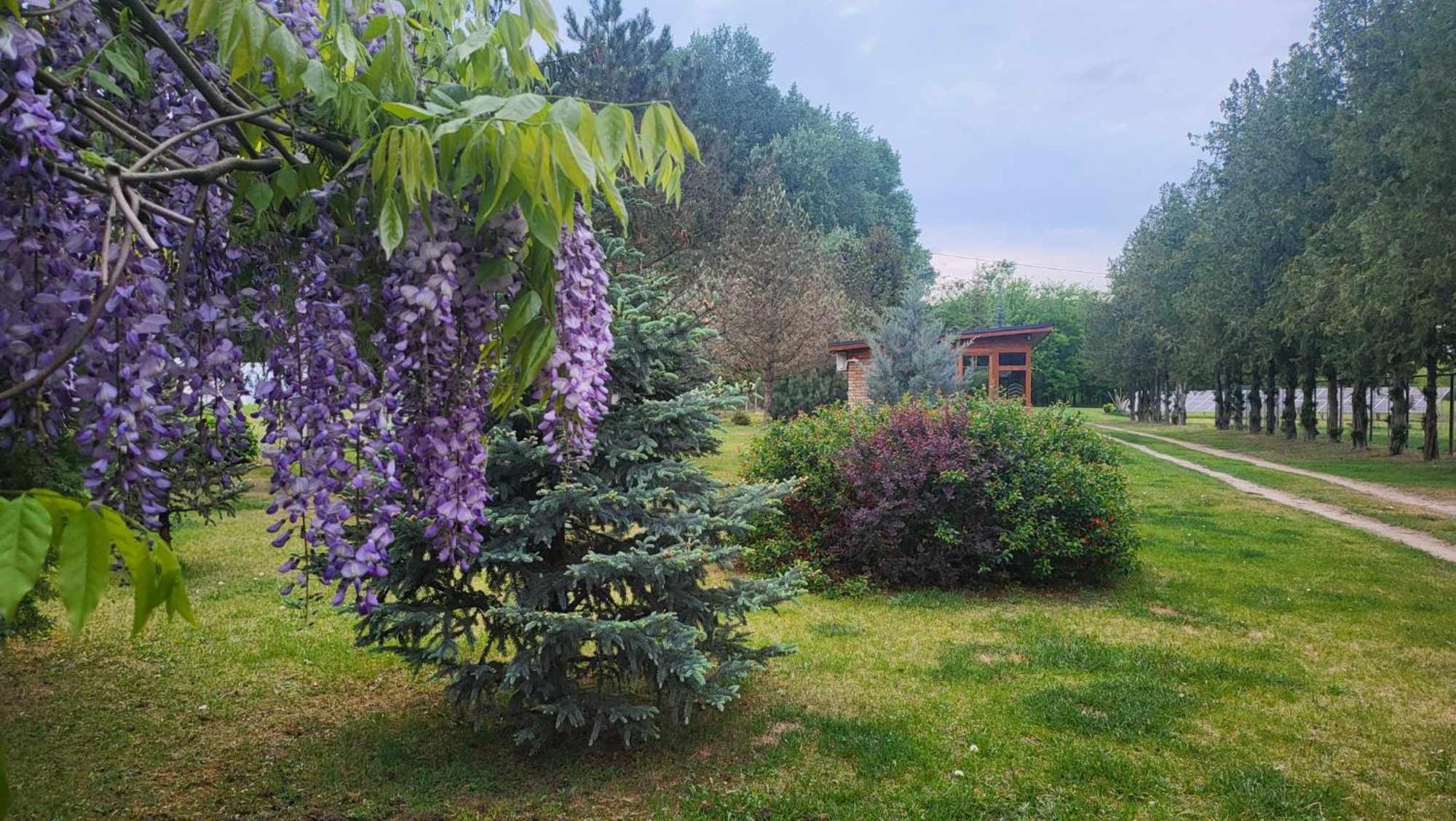 Gyoember Tanya Villa Asotthalom Bagian luar foto
