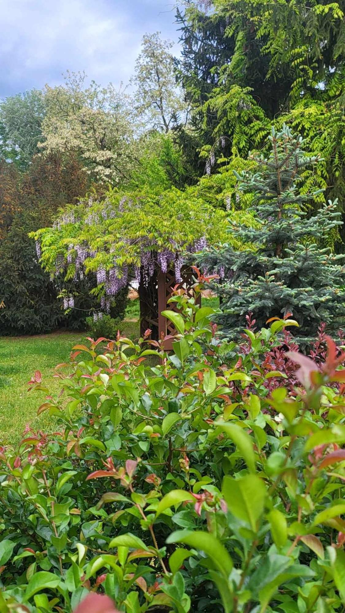 Gyoember Tanya Villa Asotthalom Bagian luar foto