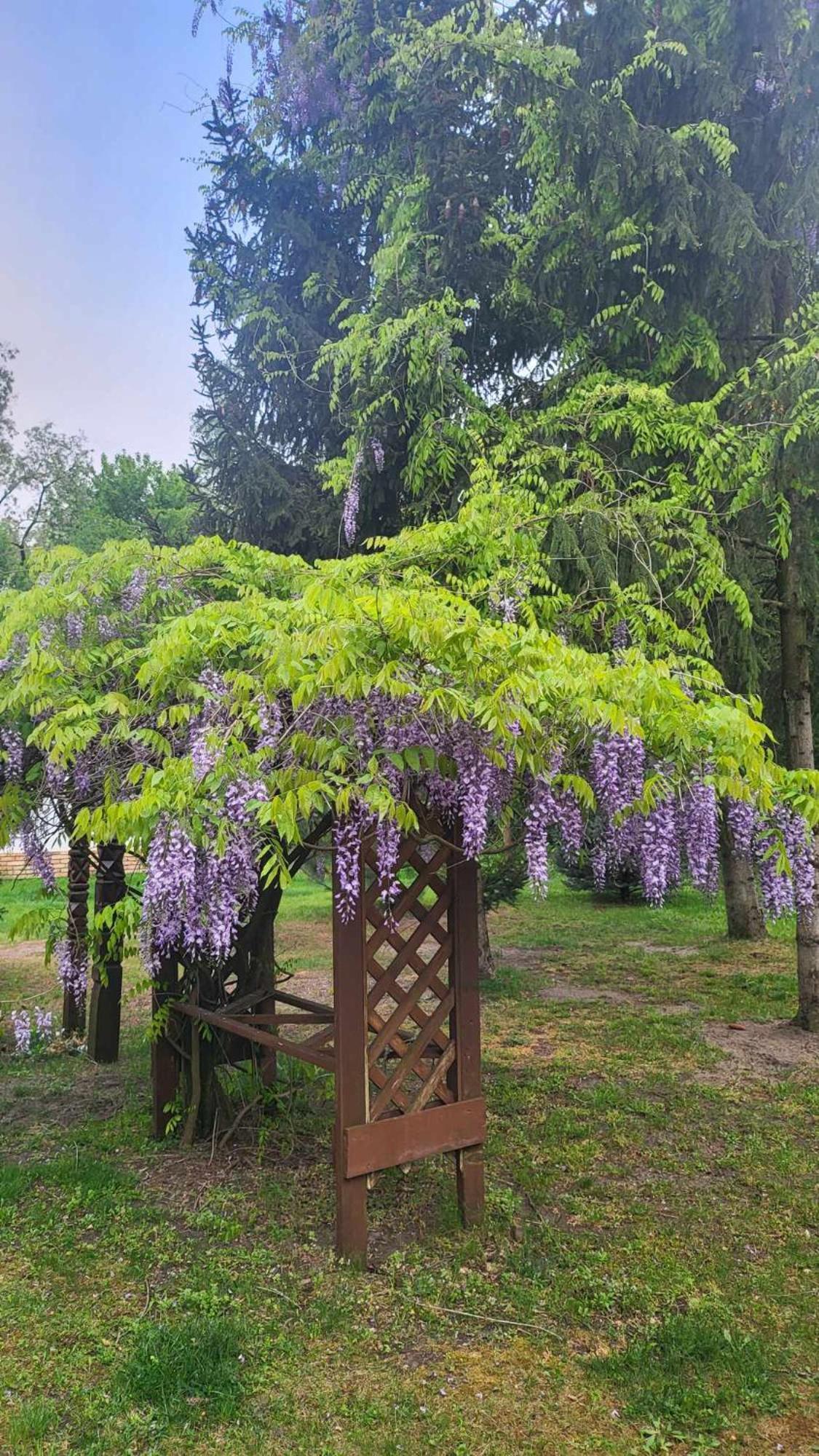Gyoember Tanya Villa Asotthalom Bagian luar foto